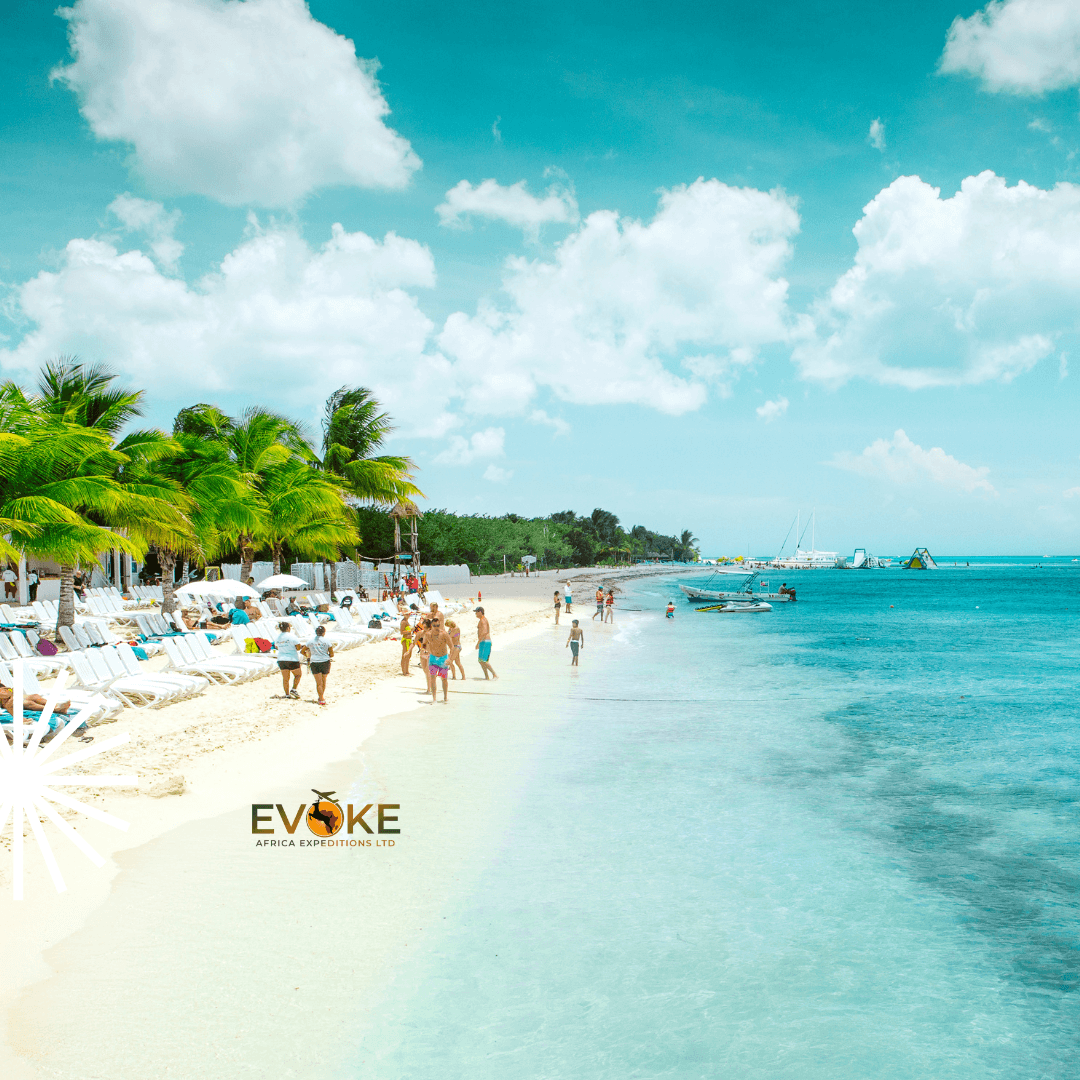 Coastal View